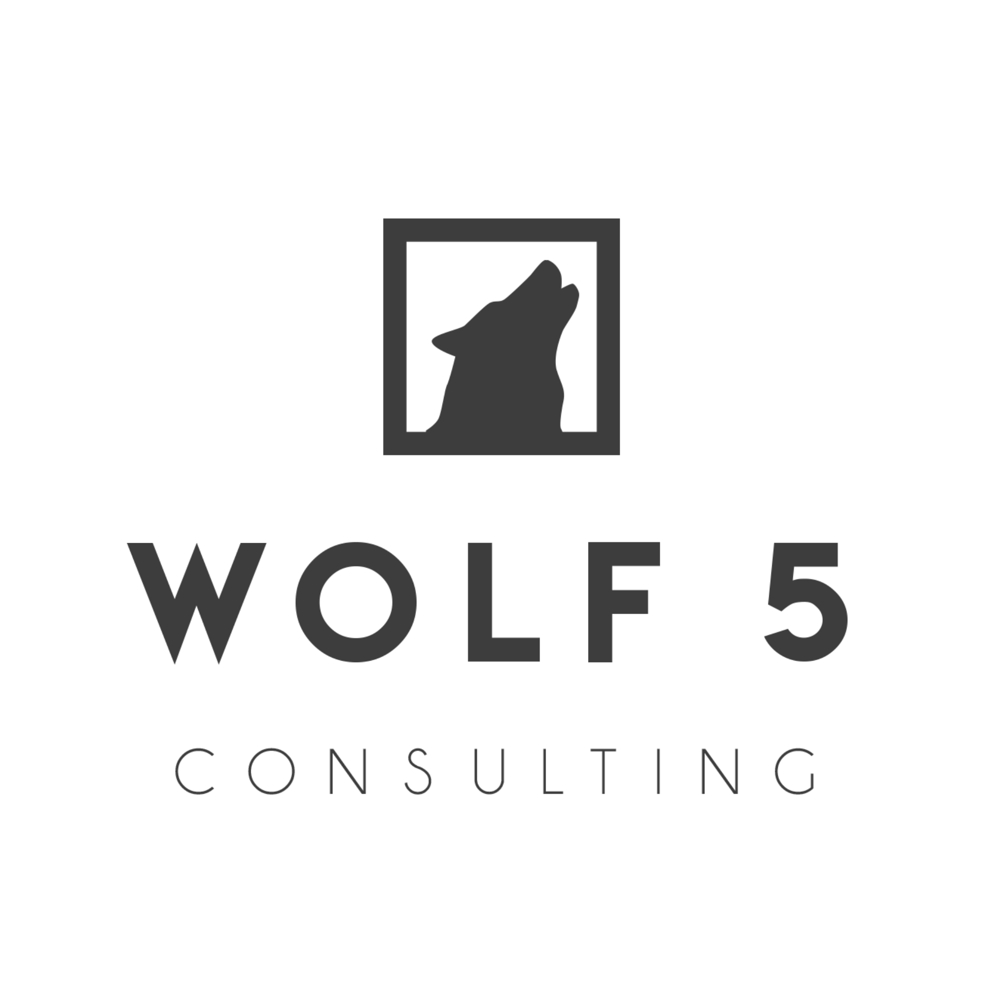 Wolf 5 Consulting